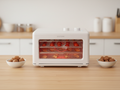ZENOMI 小果時 － 智慧美型果乾機