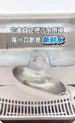 貓咪使用飲水機照片 2