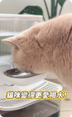 貓咪使用飲水機照片 3