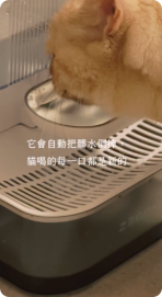 貓咪使用飲水機照片 1