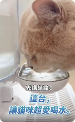 貓咪使用飲水機照片 1
