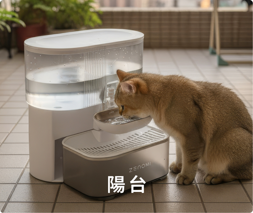 陽台情境：貓咪飲用 ZENOMI 寵物飲水機