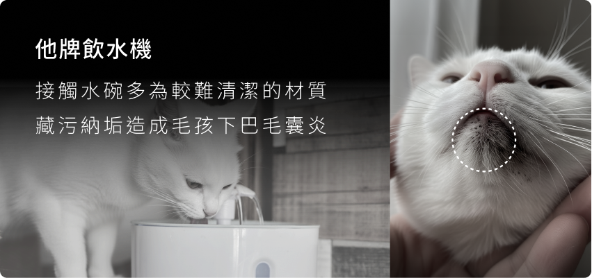 他牌飲水機使用塑膠材質，藏污納垢造成毛孩下巴毛囊炎